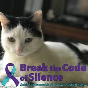 Meet your Posher, Christy